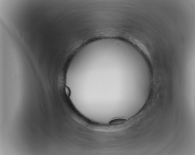 X0000115840017200911131115