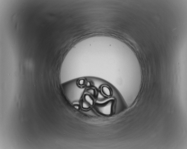 X0000115840029200911131115