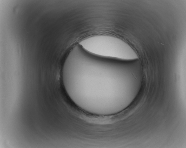 X0000115840032200911131115