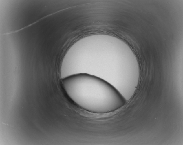 X0000115840035200911131115