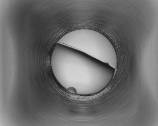 X0000115840048200911131115