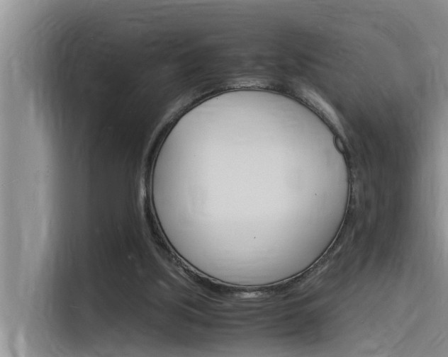 X0000115840059200911131114