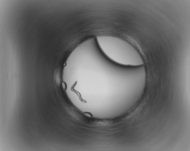 X0000115840069200911131115
