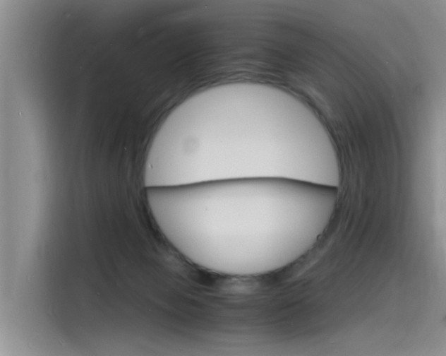 X0000115840077200911131115