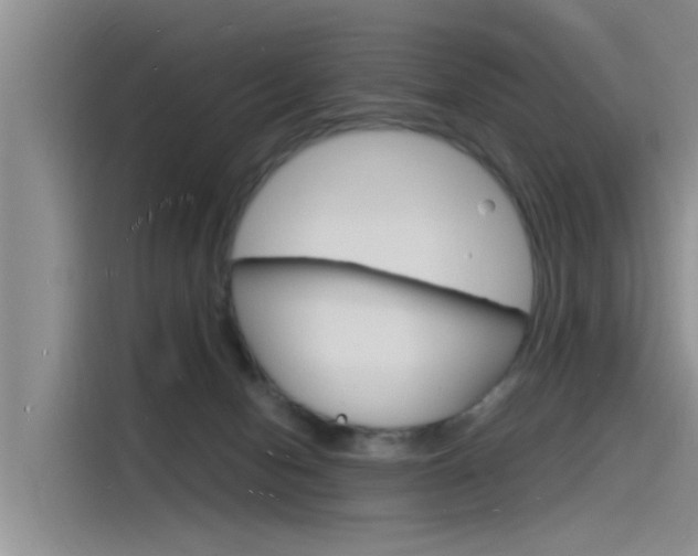 X0000115840078200911131115