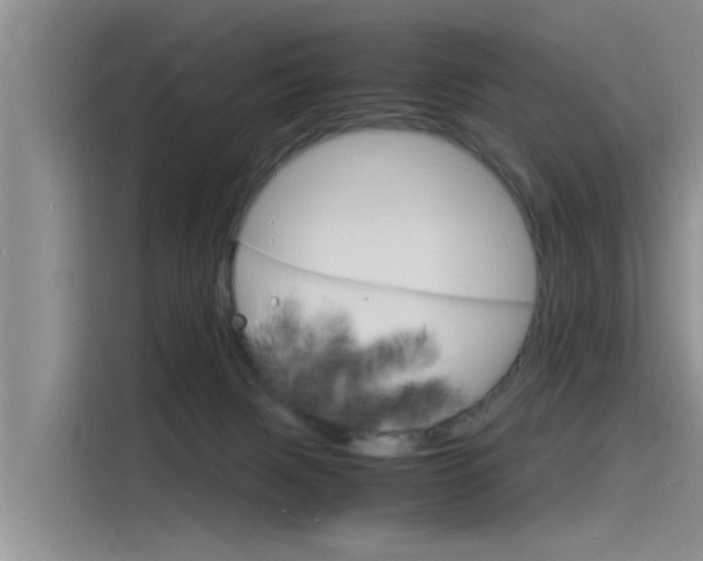 X0000115840079200911131115