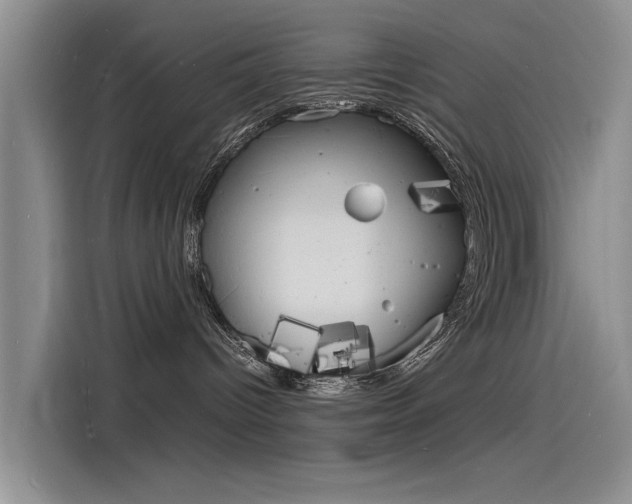 X0000115840096200911131115