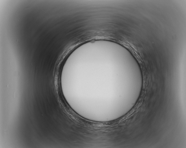 X0000115840098200911131114