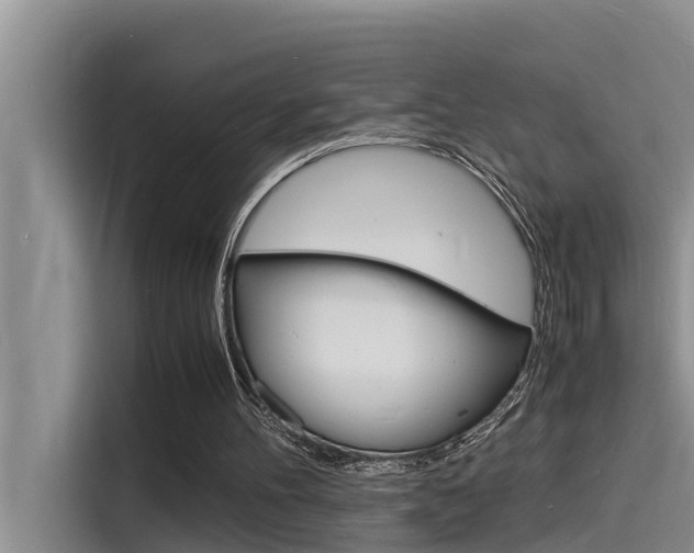 X0000115840100200911131114