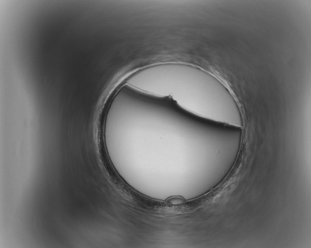 X0000115840103200911131114