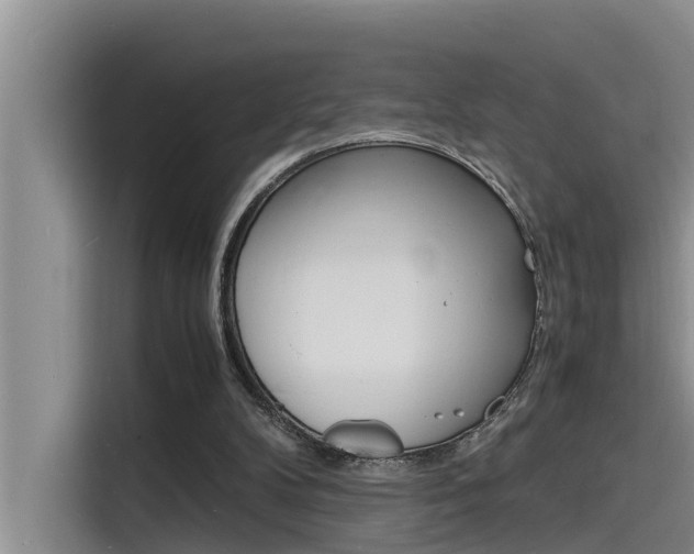 X0000115840104200911131114