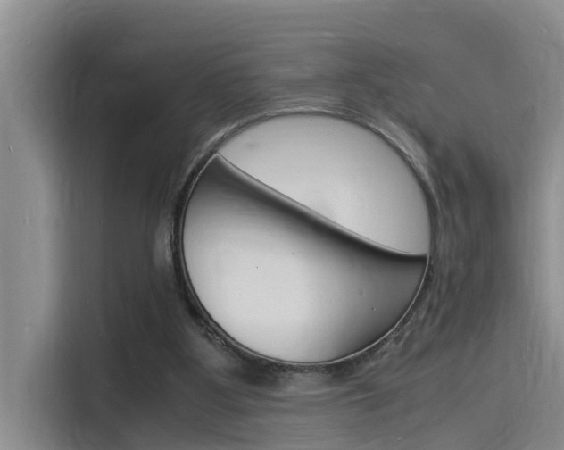 X0000115840107200911131114