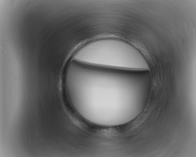 X0000115840112200911131114