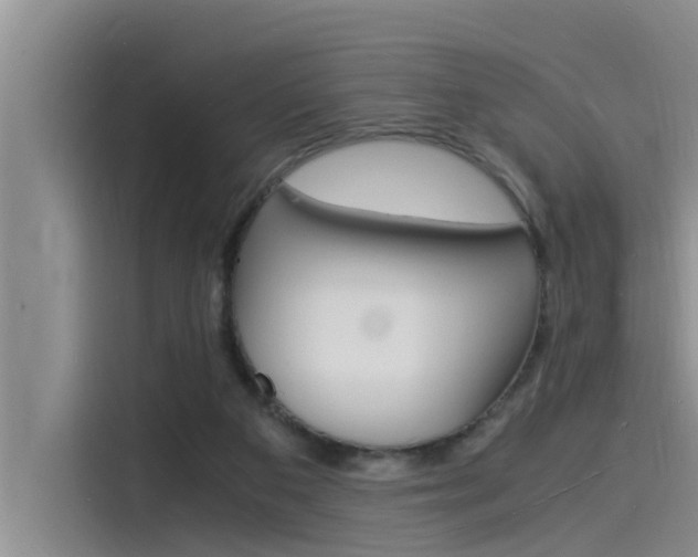 X0000115840113200911131114