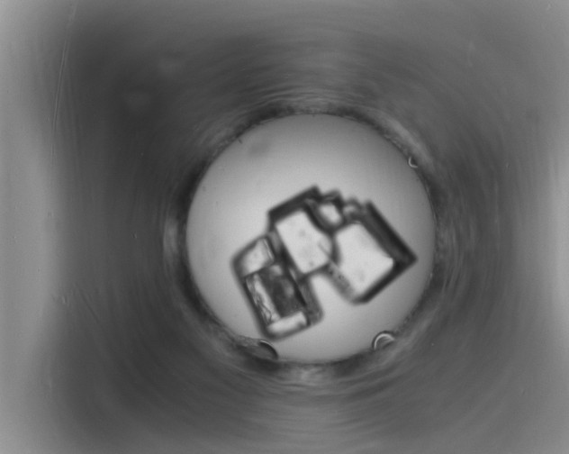 X0000115840117200911131114