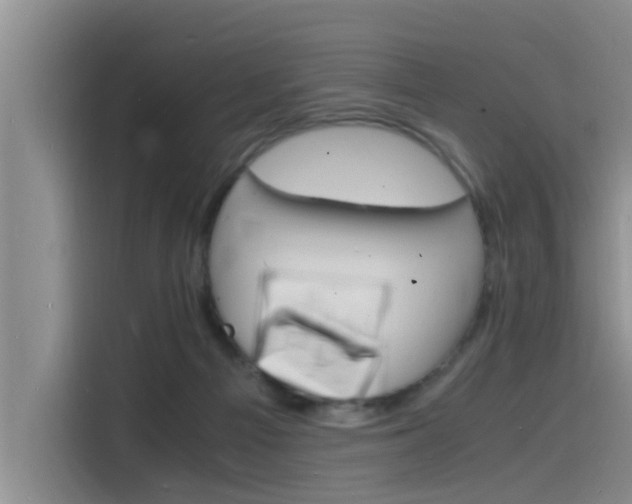 X0000115840121200911131114