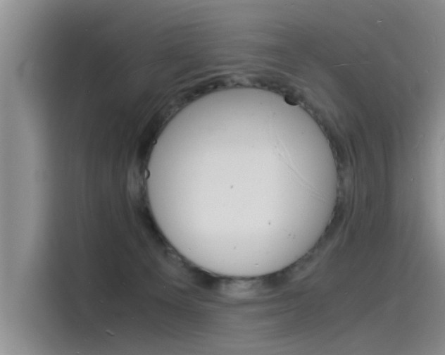 X0000115840129200911131114