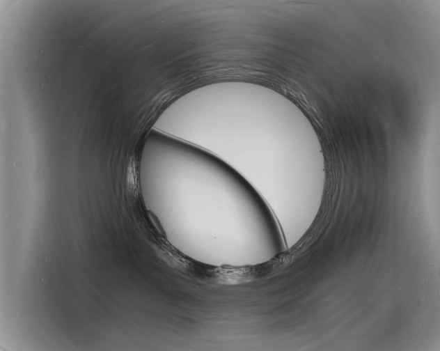 X0000115840143200911131114