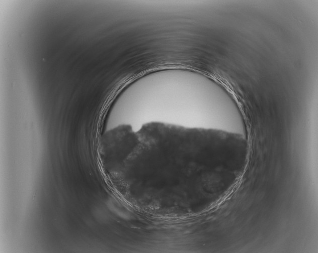 X0000115840145200911131113