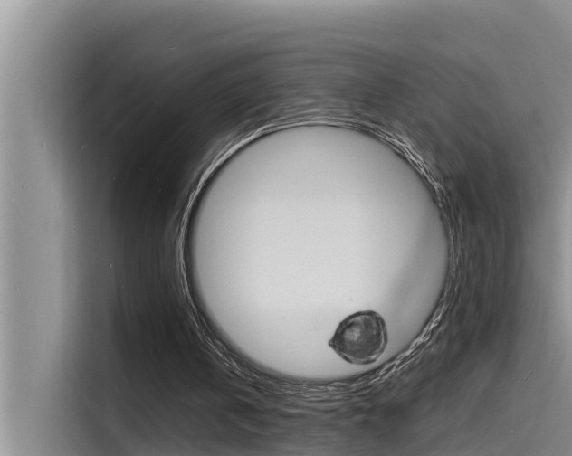 X0000115840146200911131113