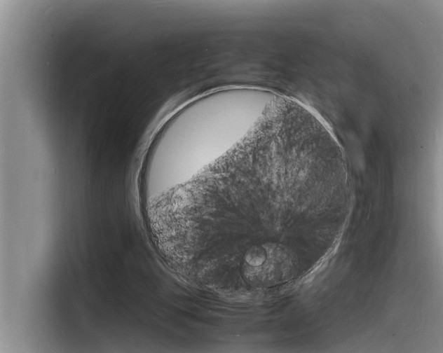 X0000115840151200911131113