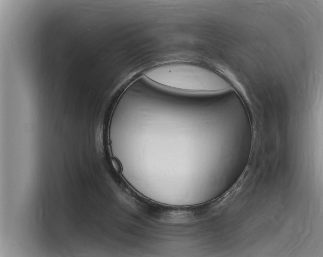 X0000115840154200911131113