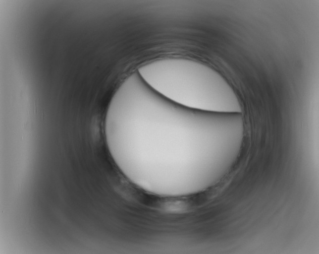 X0000115840169200911131113
