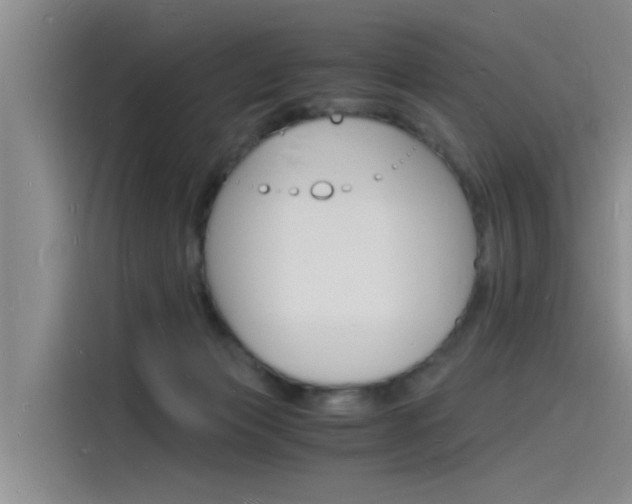 X0000115840173200911131113