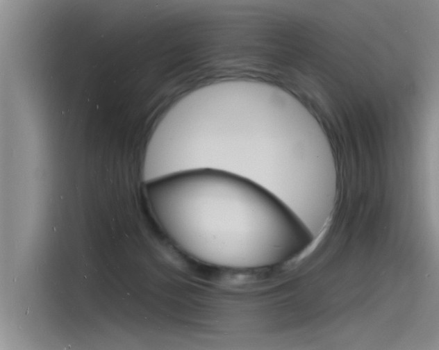 X0000115840174200911131113