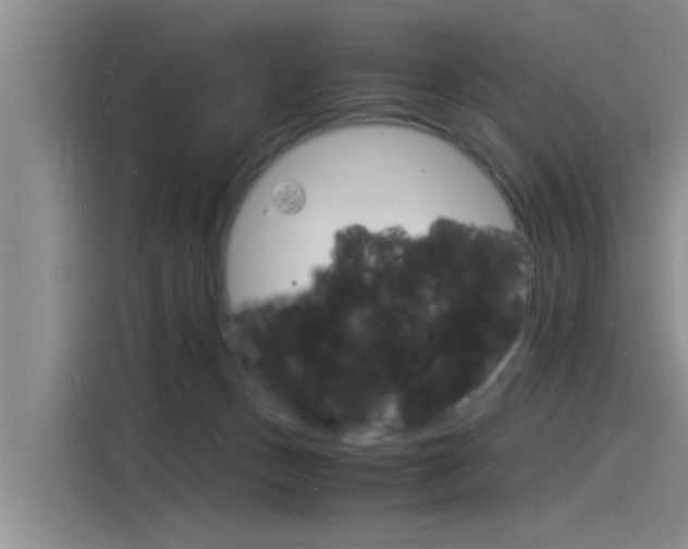 X0000115840175200911131113