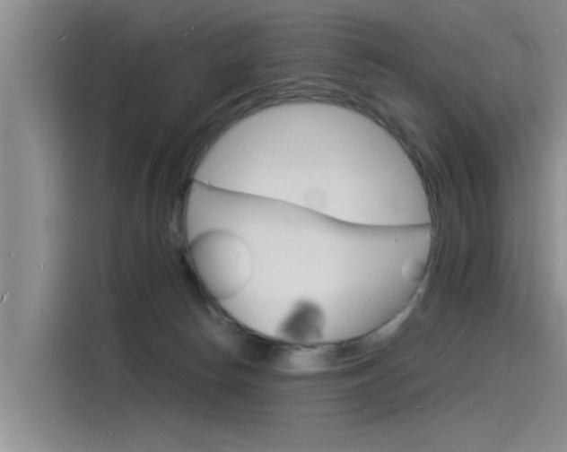 X0000115840178200911131113