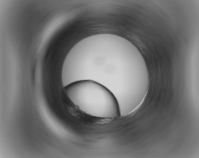 X0000115840190200911131114