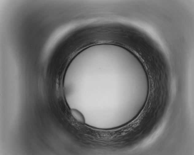 X0000115840194200911131113