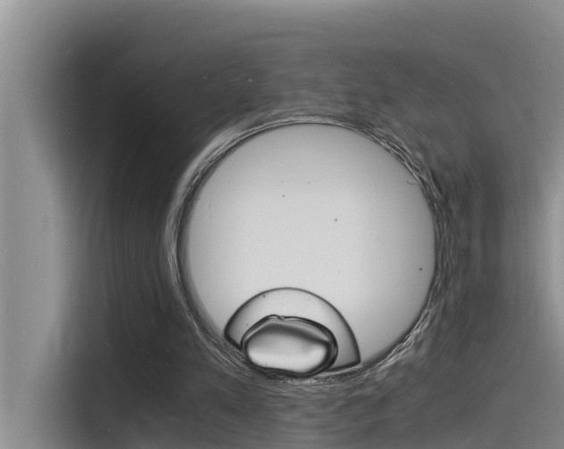 X0000115840197200911131113