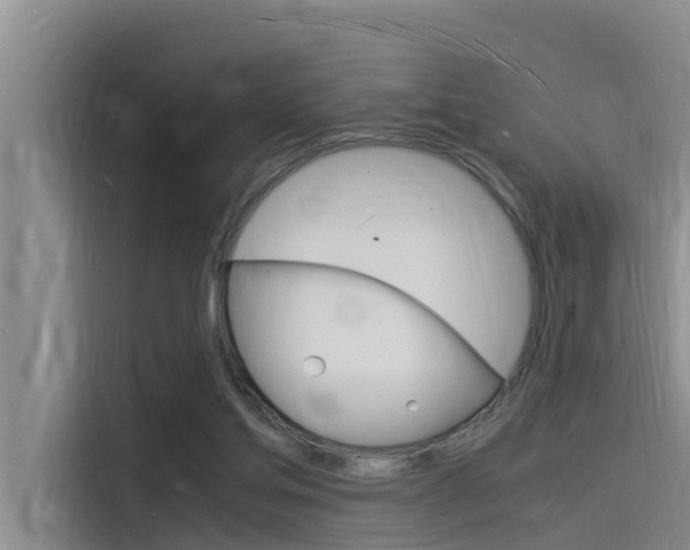 X0000115840205200911131113