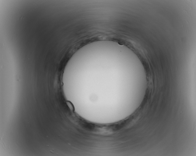 X0000115840221200911131113