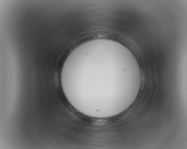 X0000115840222200911131113
