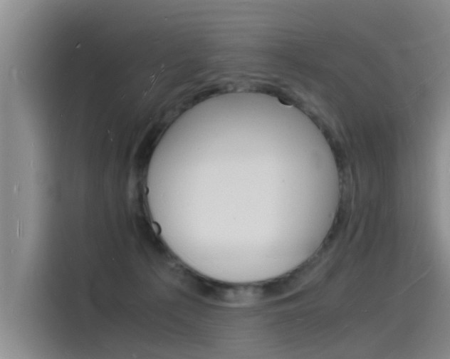 X0000115840225200911131113