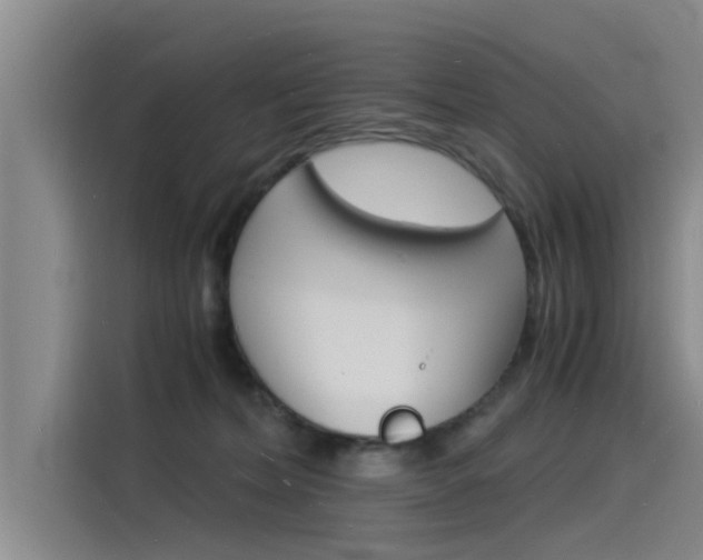 X0000115840228200911131113