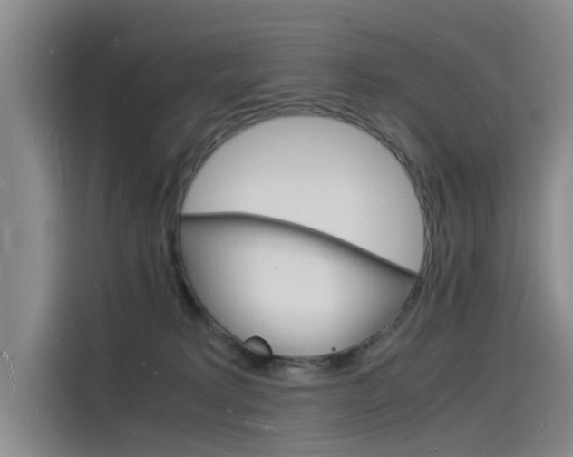 X0000115840229200911131113