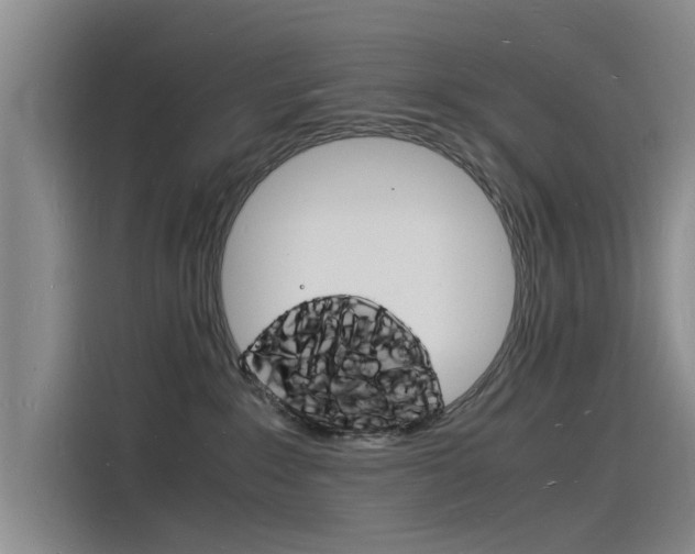 X0000115840235200911131112