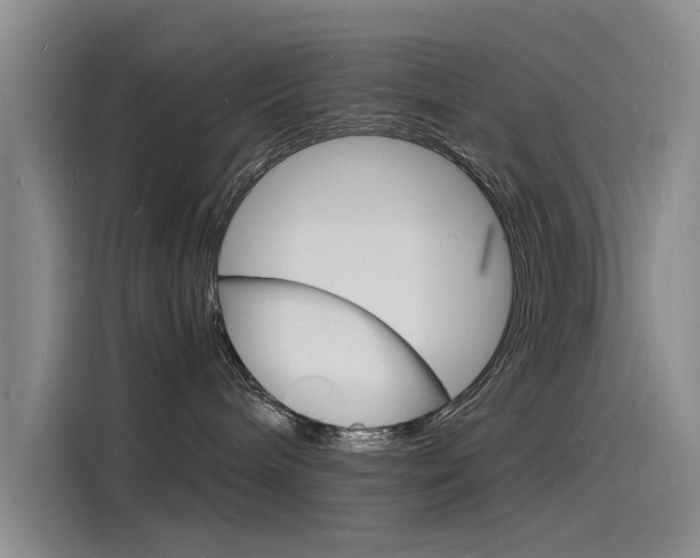 X0000115840240200911131112