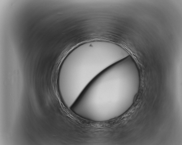 X0000115840241200911131112