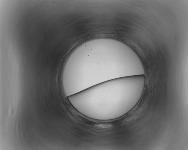 X0000115840251200911131112