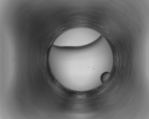 X0000115840263200911131112