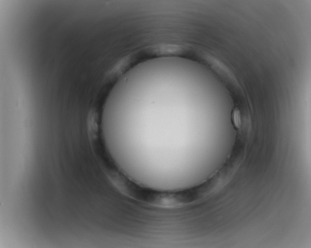 X0000115840264200911131112