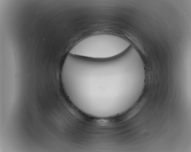 X0000115840265200911131112