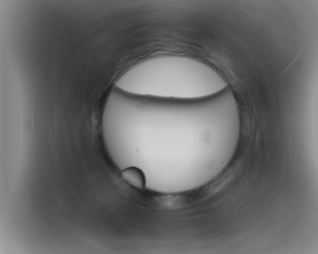 X0000115840273200911131112