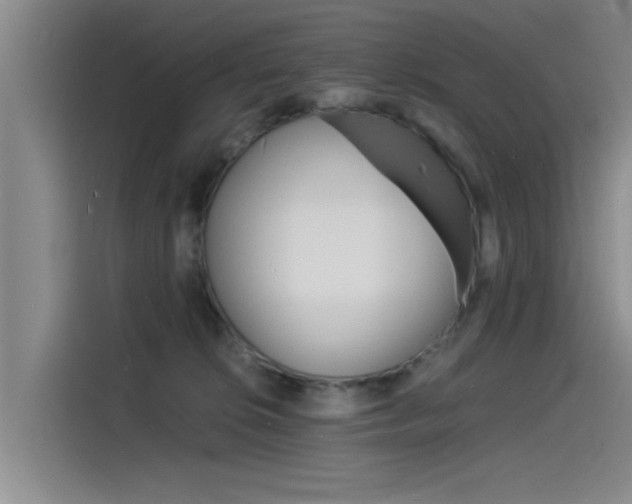 X0000115840276200911131112