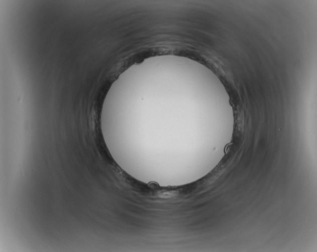 X0000115840283200911131112
